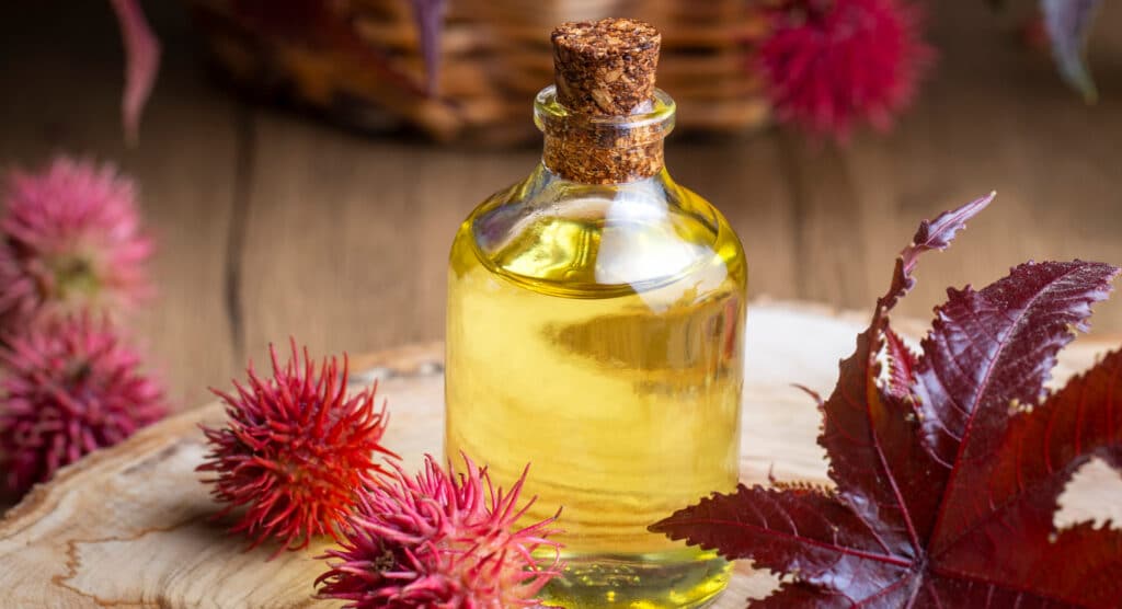 castor oil for hair growth solution